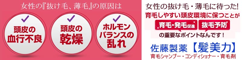 髪美力情報サイト